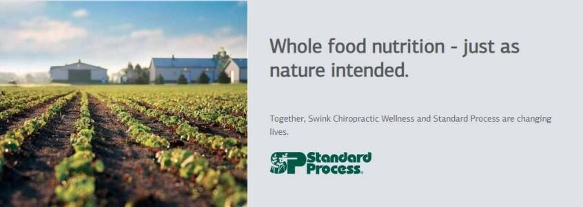 standard process store